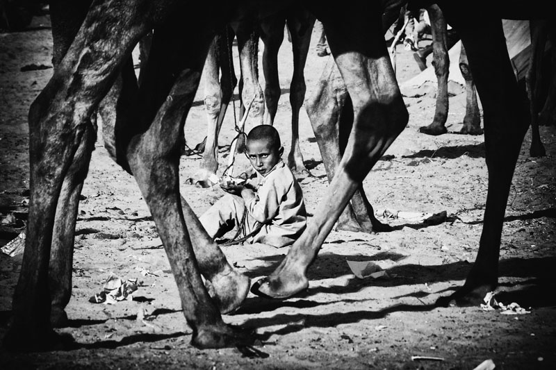 Indien: Leben als Drahtseilakt | © Abhijit Nandi/Freier Fotograf Indien: Leben als Drahtseilakt