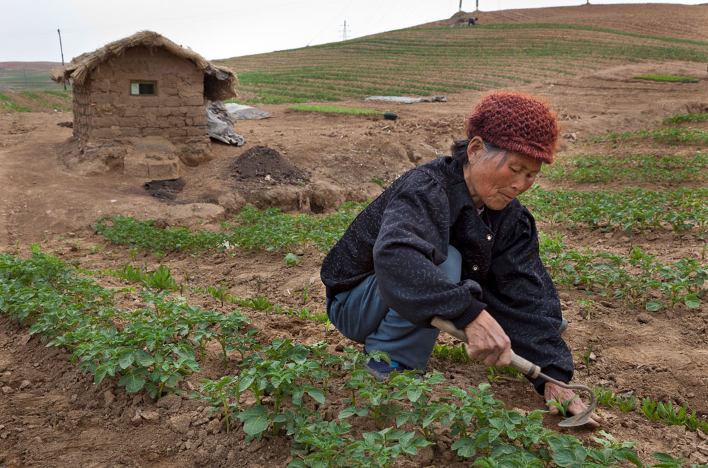 North Korea: The dictatorship of scarcity | ©Jürgen Escher/Laif North Korea: The dictatorship of scarcity