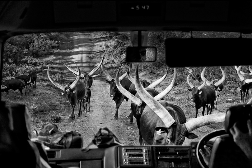 Uganda: Lust for life | © Leslie Alsheimer/Freelance Photographer Uganda: Lust for life