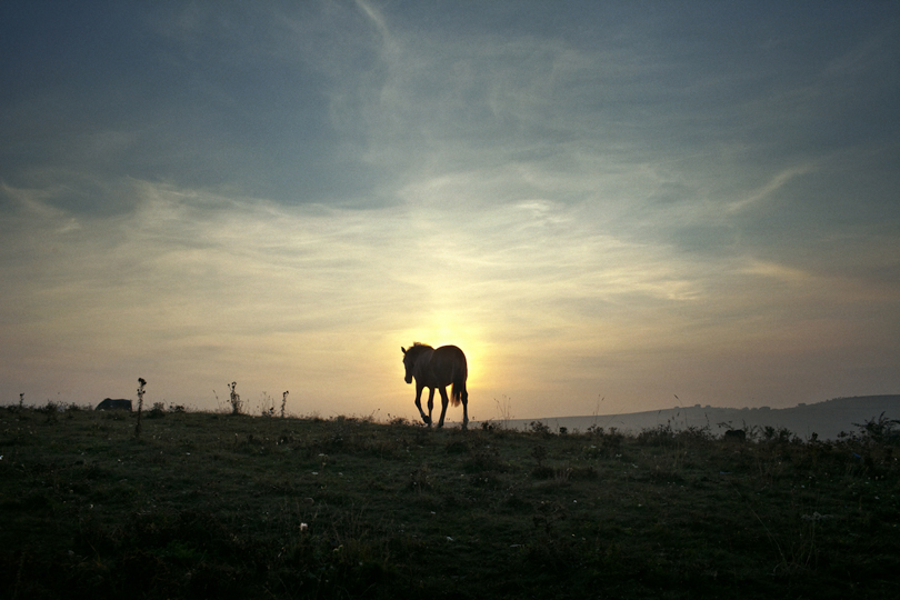 Romania: Target Roma | © Mugur Varzariu/Freelance Photographer Romania: Target Roma