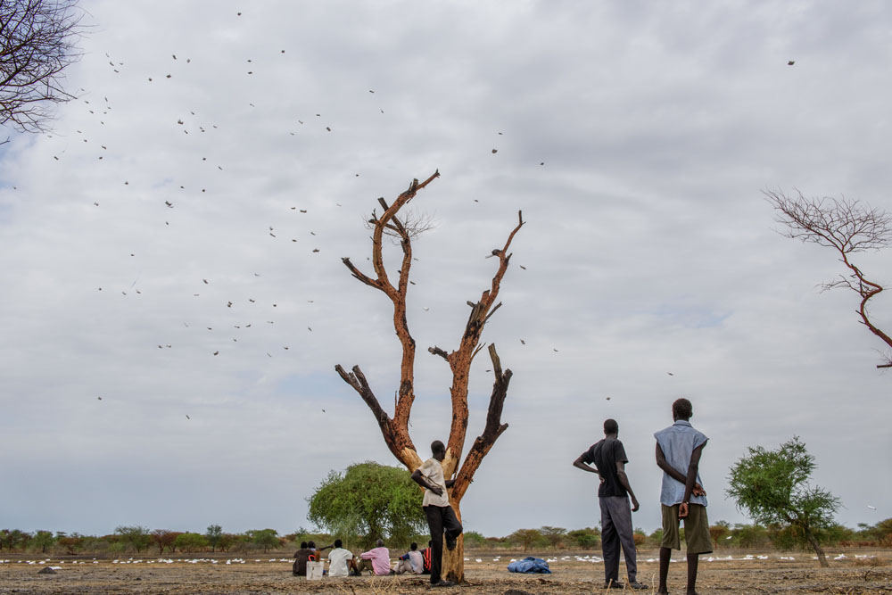 Es wurden insgesamt 180 Tonnen Nahrungsmittel abgeworfen | © UNICEF/Hatcher-Moore Südsudan: Es wird beobachtet wie über Aburoc Getreidesäcke abgeworfen werden