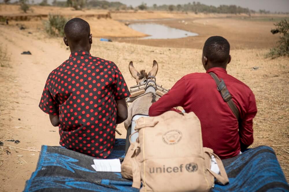 UN0293617 mali pferd Mali: Impfstoffe werden per Eselskarren transportiert