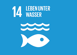 Icon Nachhaltigkeitsziel 14: Leben unter Wasser