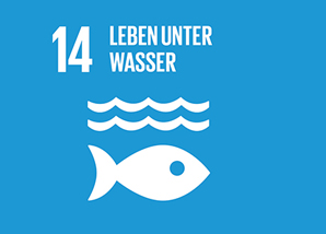 Nachhaltigkeitsziel 14: Leben unter Wasser | © Vereinte Nationen Icon Nachhaltigkeitsziel 14: Leben unter Wasser