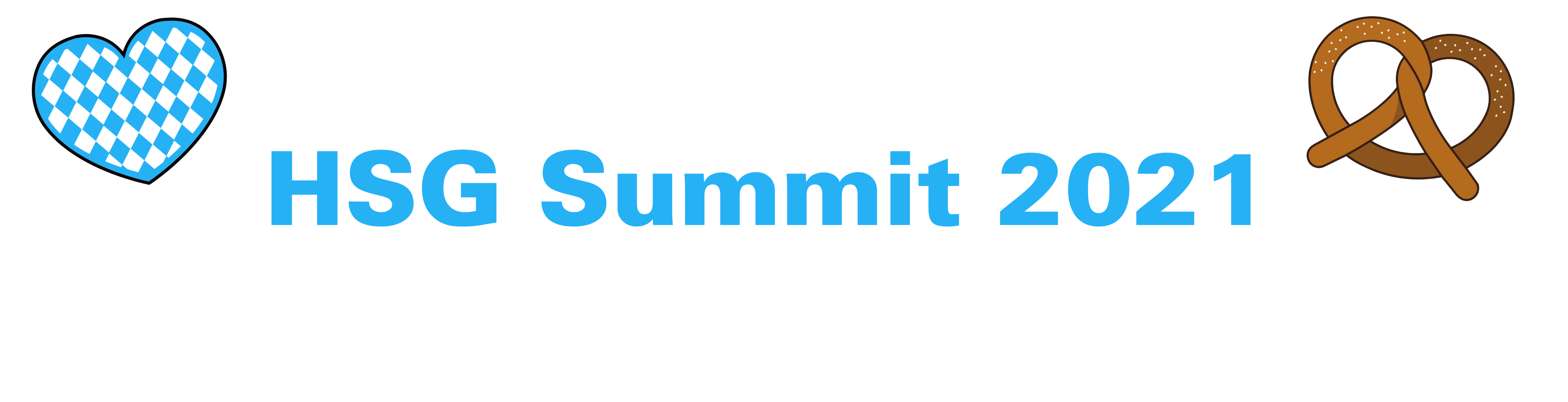 Banner HSG Summit 2021 Banner HSG Summit 2021
