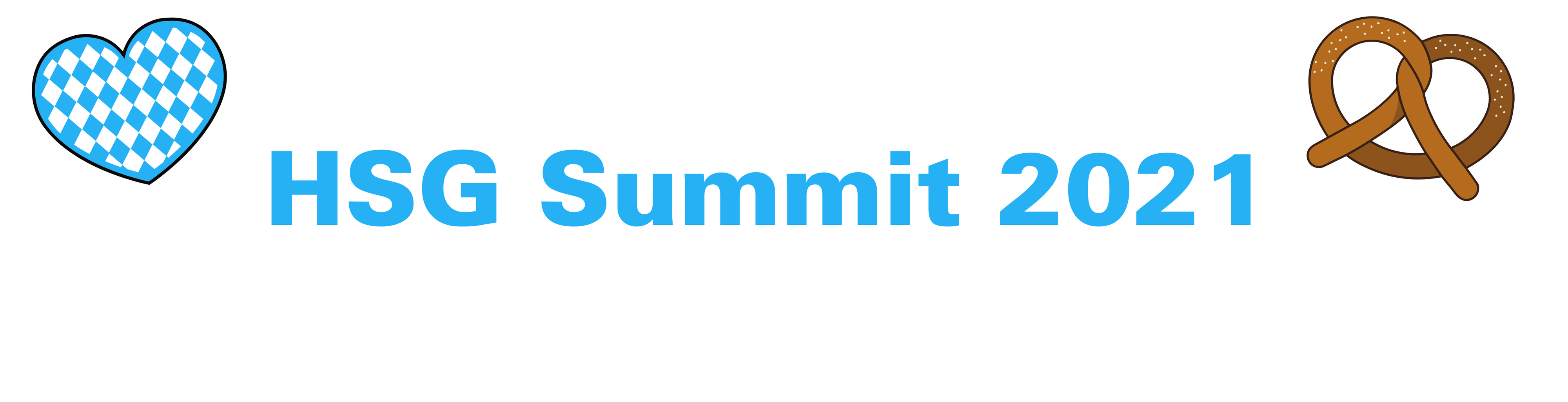 Banner HSG Summit 2021