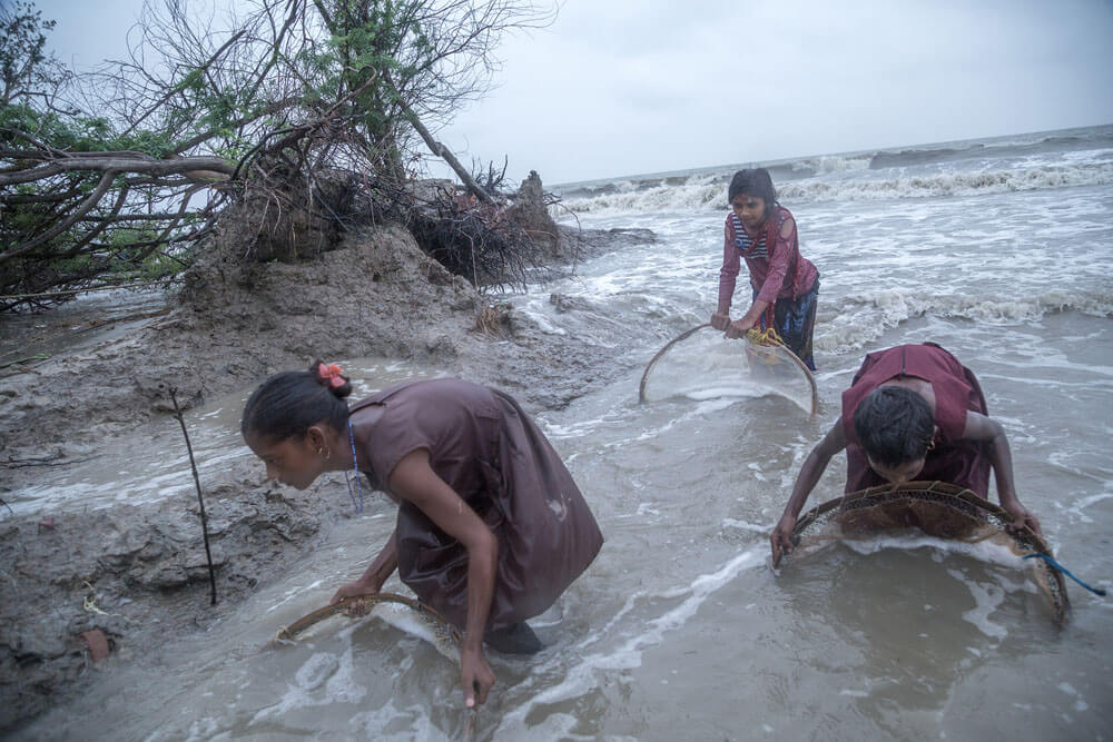 India: Drowned hopes 