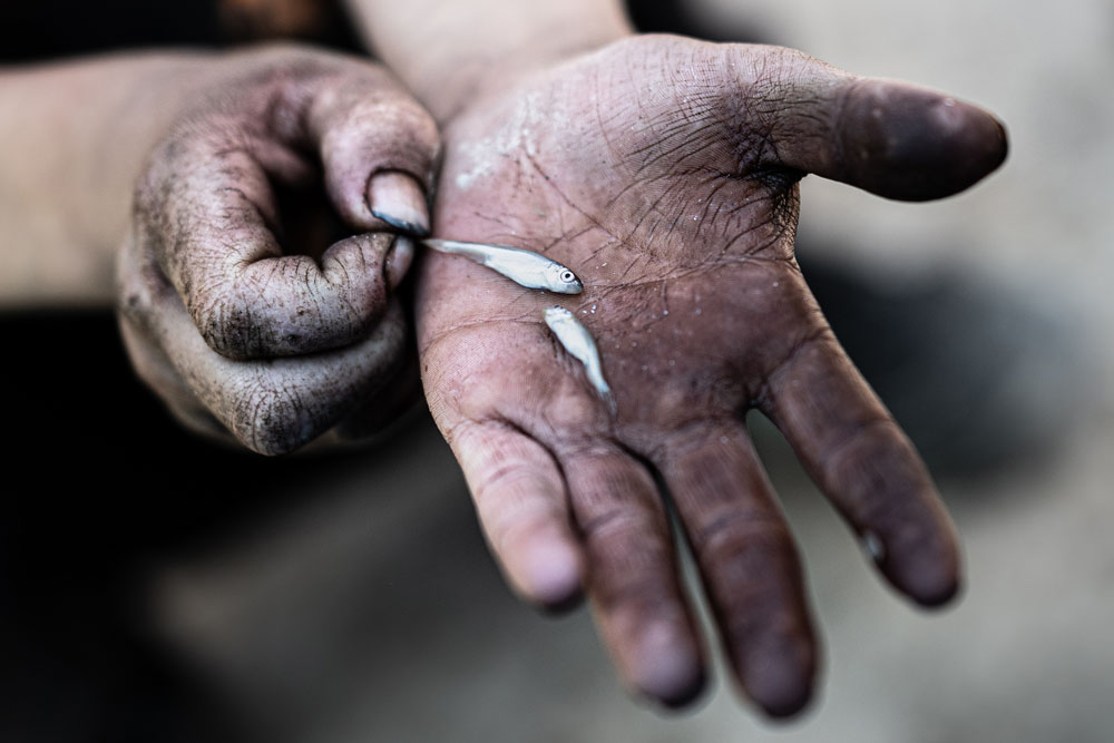 Iran: Children of the Zagros