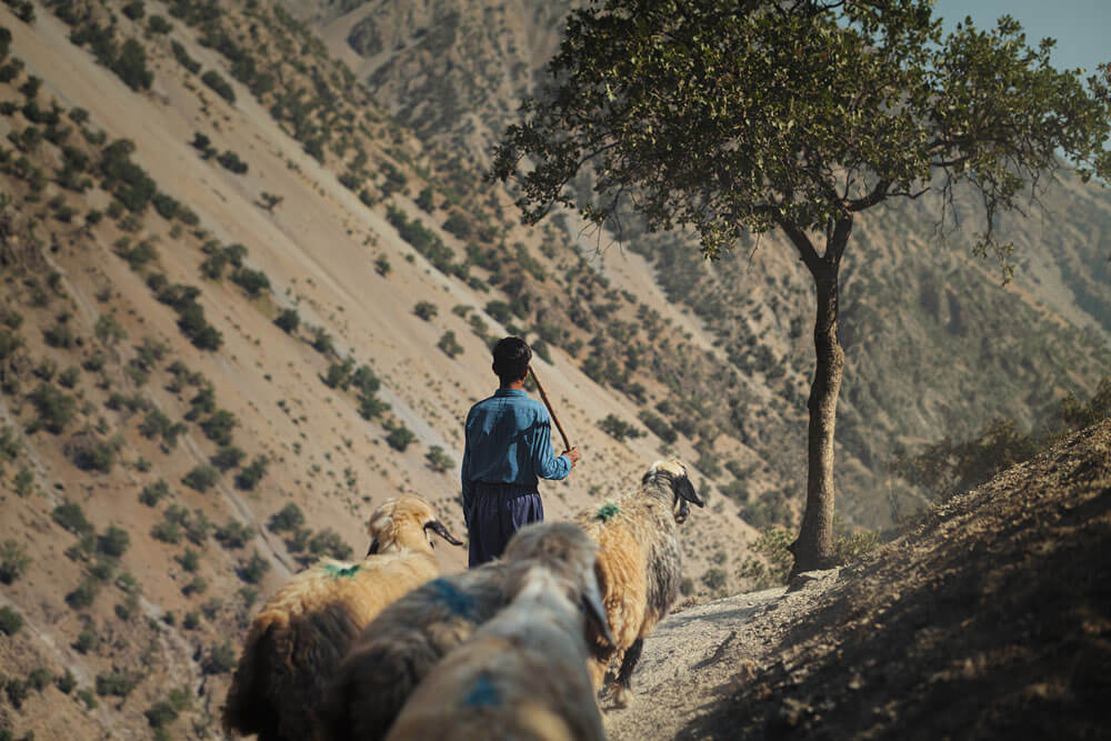 Iran: Children of the Zagros