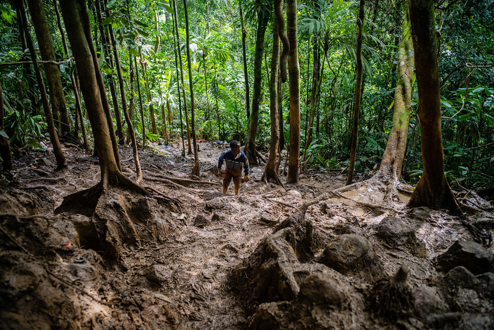 Colombia: Green Hell | © Federico Rios, Columbia, NY Times Colombia: Green Hell