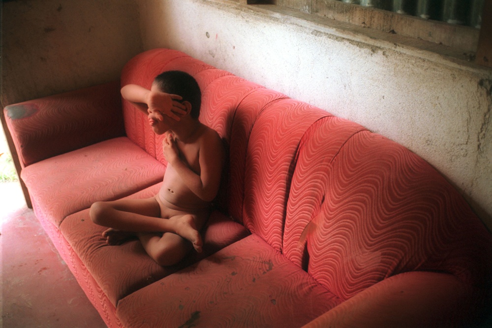 Siviani auf dem Sofa. © Meredith Davenport