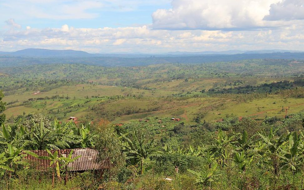 Burundi Ackerbau Landschaft