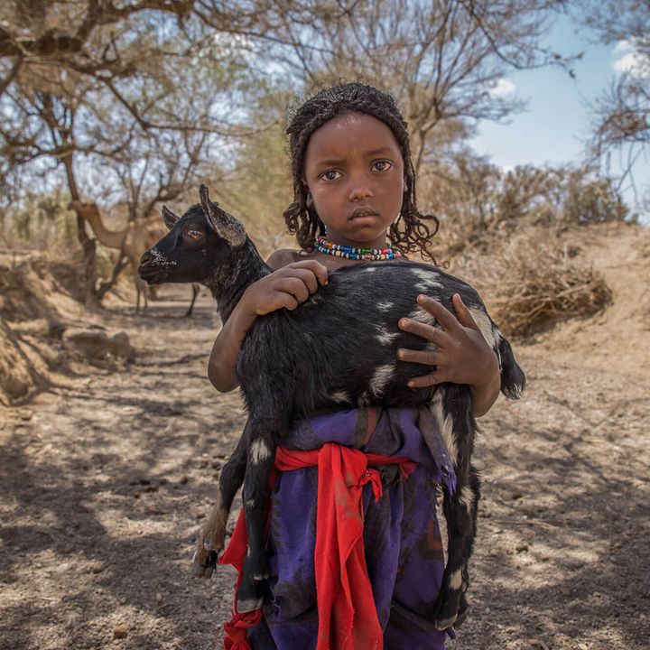 El Niño in Afrika: Hamida Mohammed (6) aus Äthiopien hält ein Ziegenkind im Arm