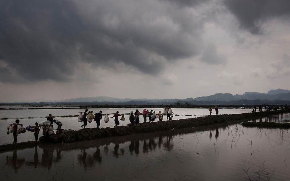 Bangladesch: Eine Gruppe von Flüchtlingen wandert entlang eines Reisfeldes