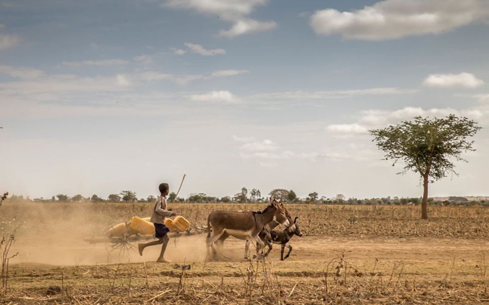 Dürre Äthiopien: Ein Junge läuft neben einem Esel-Gespann über ausgedörrtes Land. Überall fehlen Wasserstellen.