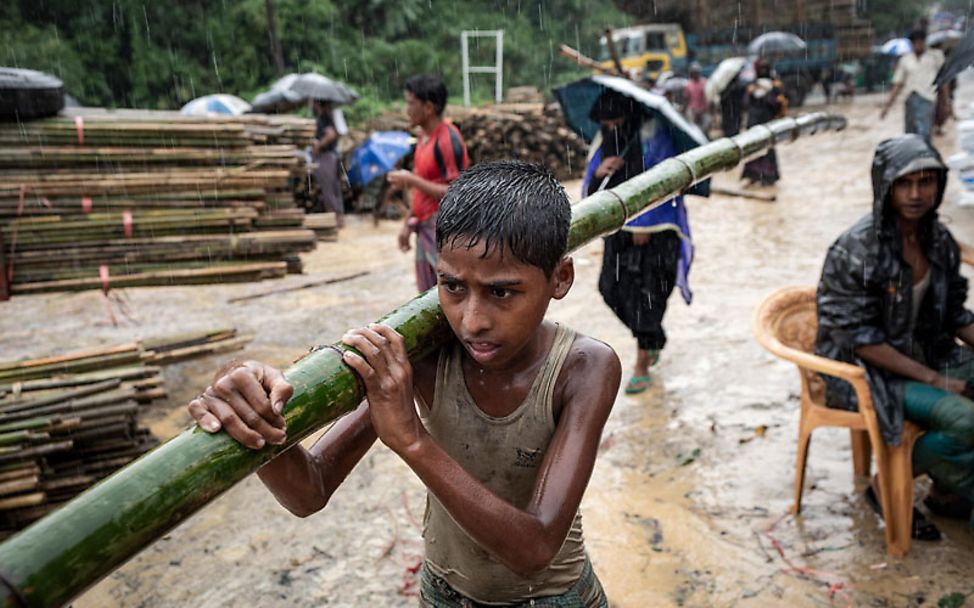 Rohingya in Bangladesch: Ein Junge trägt Bambus zum Bau einer Hütte