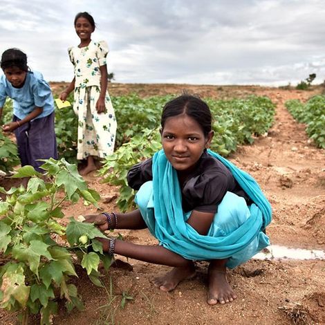 Kinderarbeit in Indien | ©  UNICEF/INDA2010-00055/Crouch
