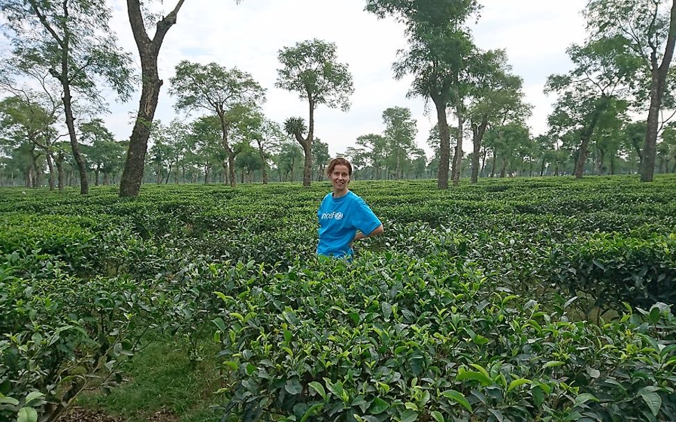 Indien: UNICEF-Mitarbeiterin Bettina Kaltenhäuser auf einer Teeplantage.