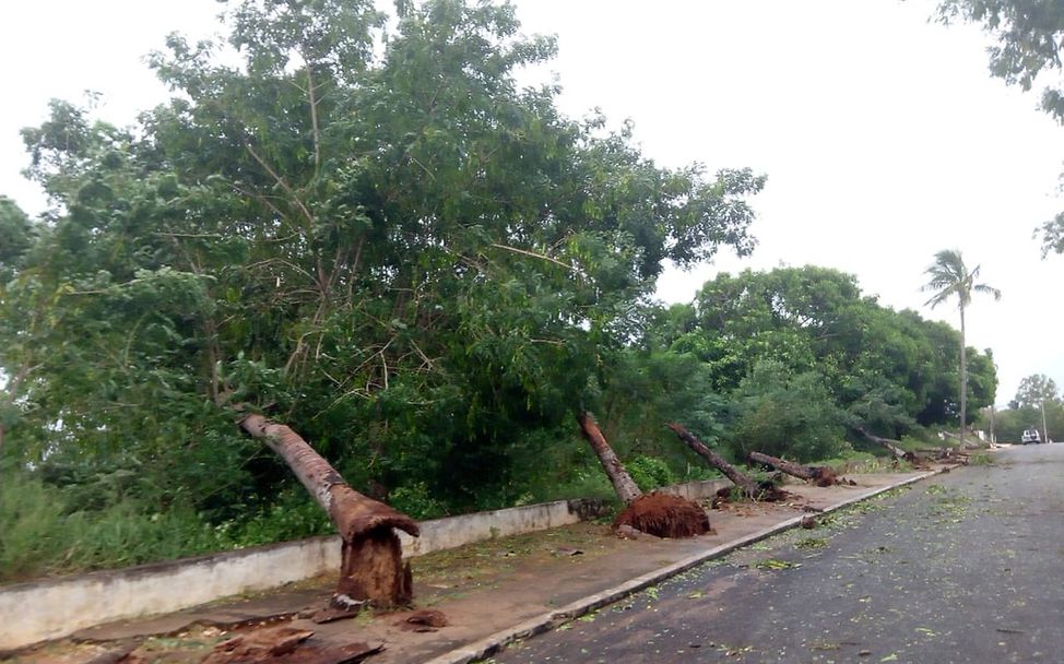 Zyklon Kenneth in Mosambik: Umgeknickte Bäume auf Straße