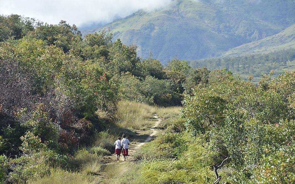 Indonesien: Tolaka und Lima auf ihrem Schulweg durch Wiesen und Wälder.