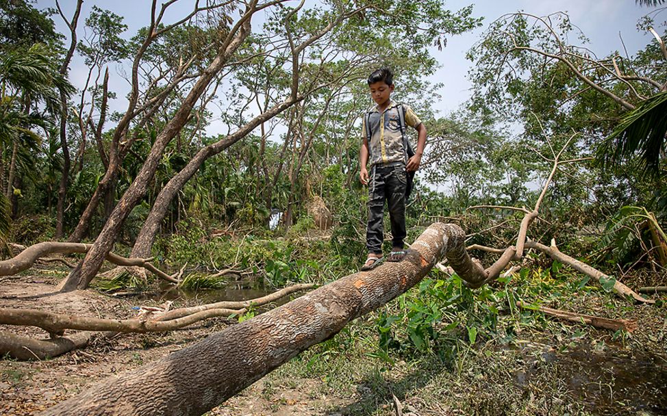 Bangladesch: Ein Junge balanciert auf einem umgestürzten Baum.