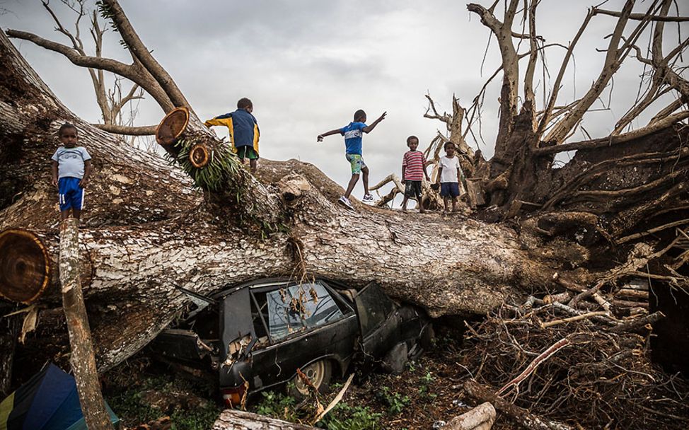 klimawandel folgen kinder: Vier Kinder spielen auf einem umgestürzten Baum.