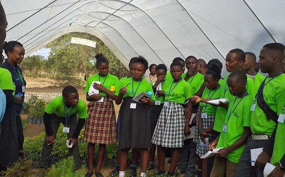 Klimabotschafter Sambia: Jugendliche in Sambia legen Schulgärten an und pflanzen neue Bäume. 