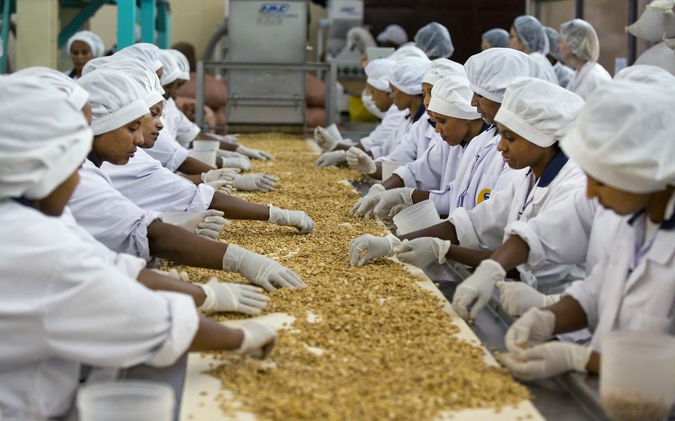 Äthiopien: Mitarbeiter einer Fabrik für Erdnusspaste sortieren Erdnüsse