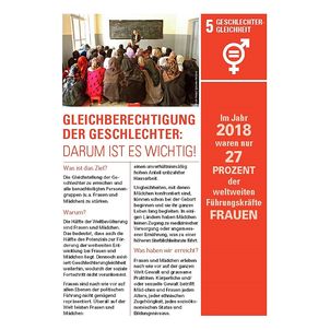 Informationsblatt SDG-05