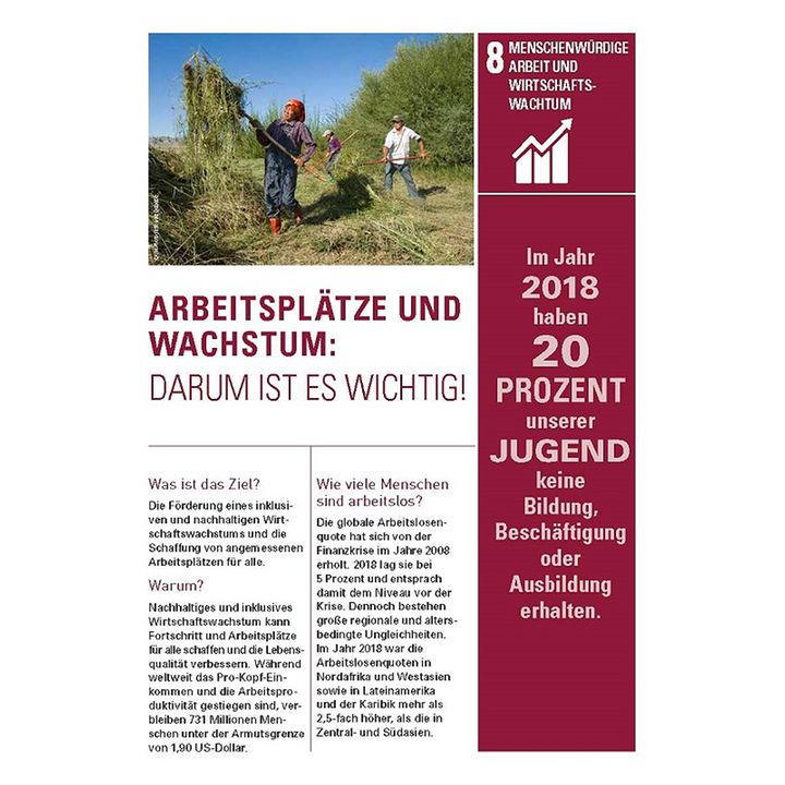 Informationsblatt SDG-08