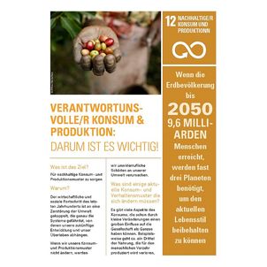 Informationsblatt SDG-12