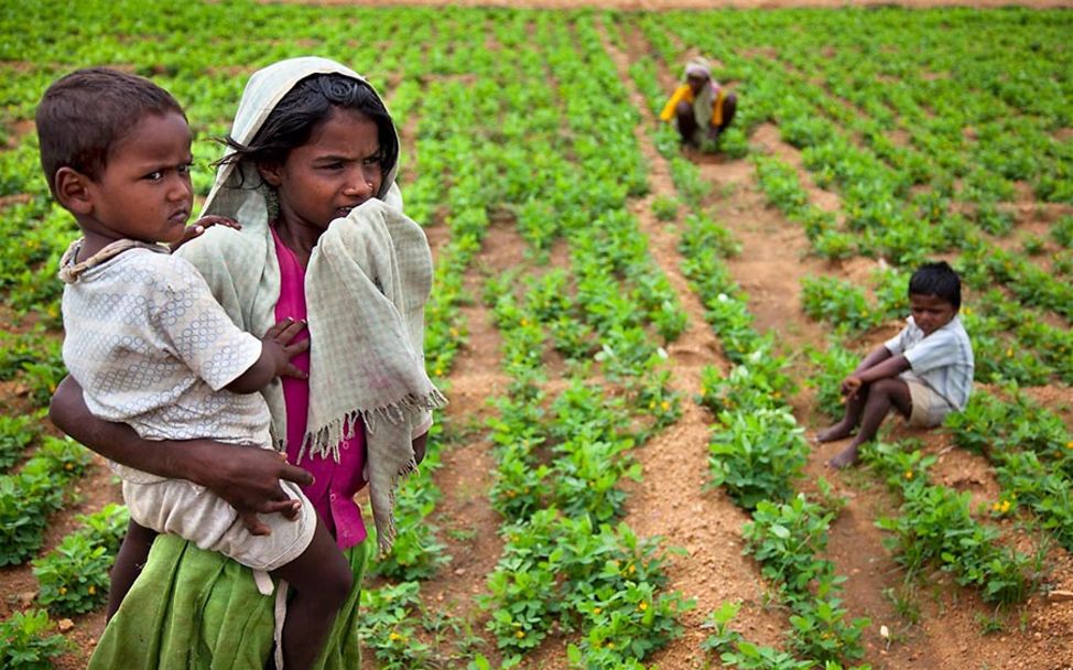Kinderarbeit in Indien: Ein Mädchen hält bei der ausbeuterischen Kinderarbeit auf dem Feld ihren Bruder auf dem Arm.