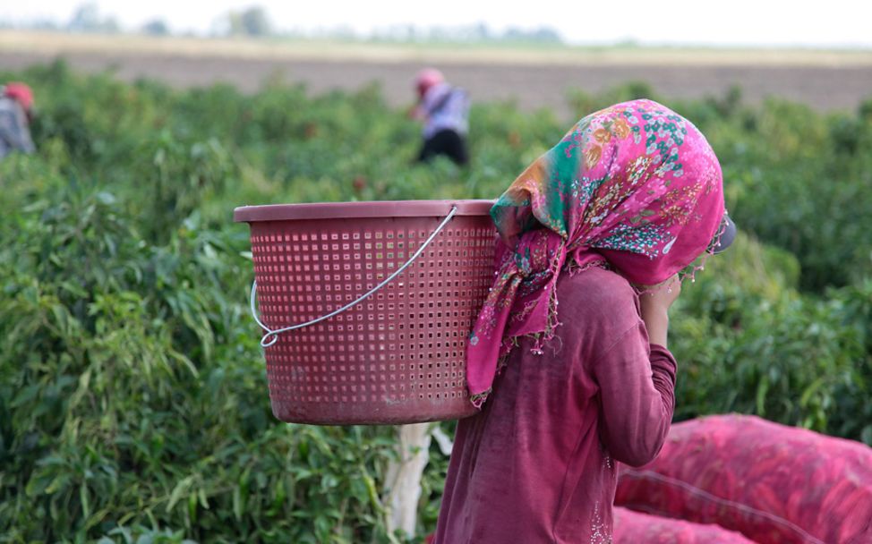 Türkei: Mädchen arbeitet auf einem Feld.