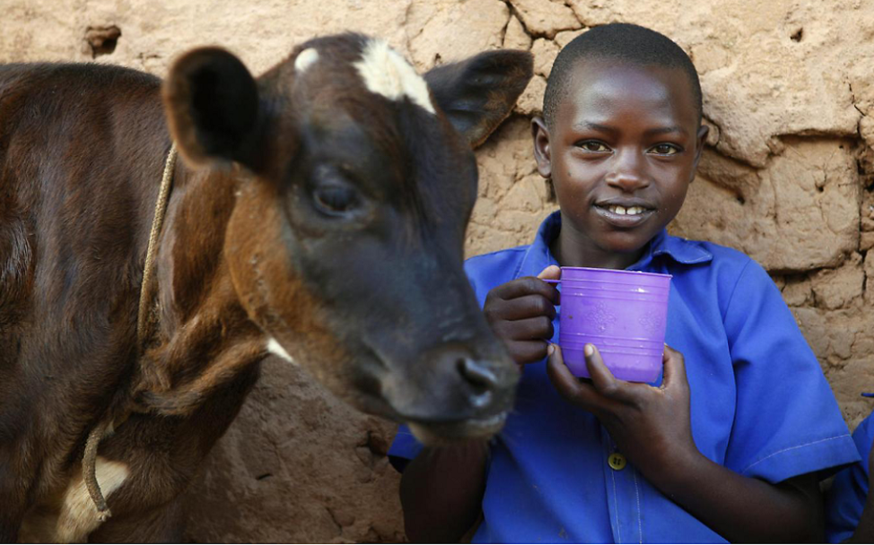 Kuh und Kind © UNICEF/UN0307912/Muellenmeister