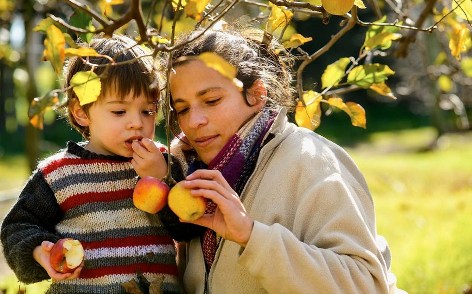 Ein kleiner Junge beschaut sich mit seiner Mutter Äpfel im Garten in Uruguay.