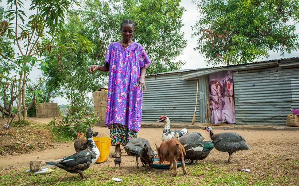 Bargeldhilfe (cash transfer) im Kongo: Eine Frau kaufte sich Hühner, um das Leben ihrer Kinder zu verbessern.