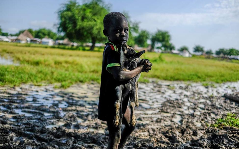 Südsudan: Ein Junge trägt seine Ziege über eine überschwemmte Wiese. 