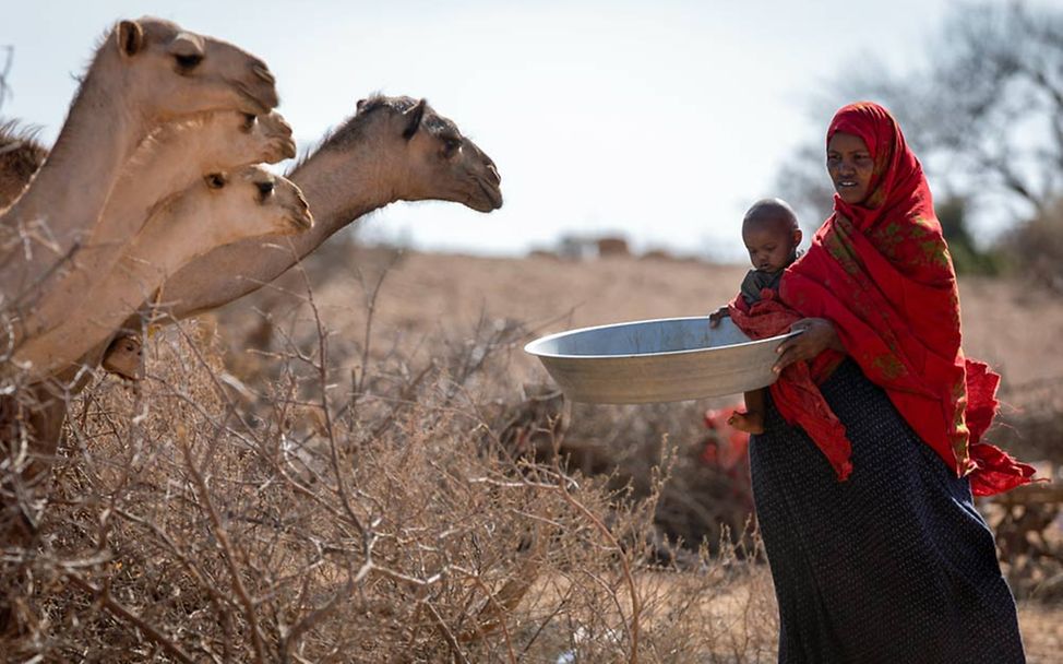 Äthiopien: Durch die anhaltende Dürre sind unzählige Nutztiere gestorben. 