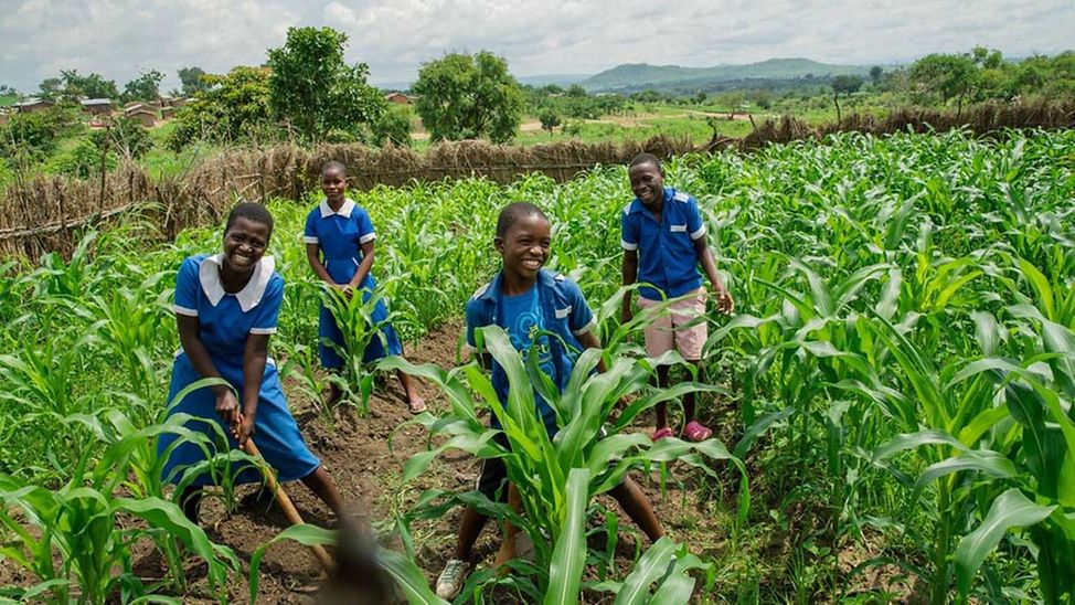 Living Schools in Malawi: Schüler*innen im Schulgarten