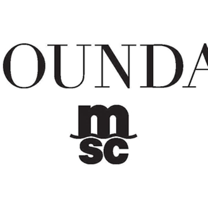 Logo MSC Foundation