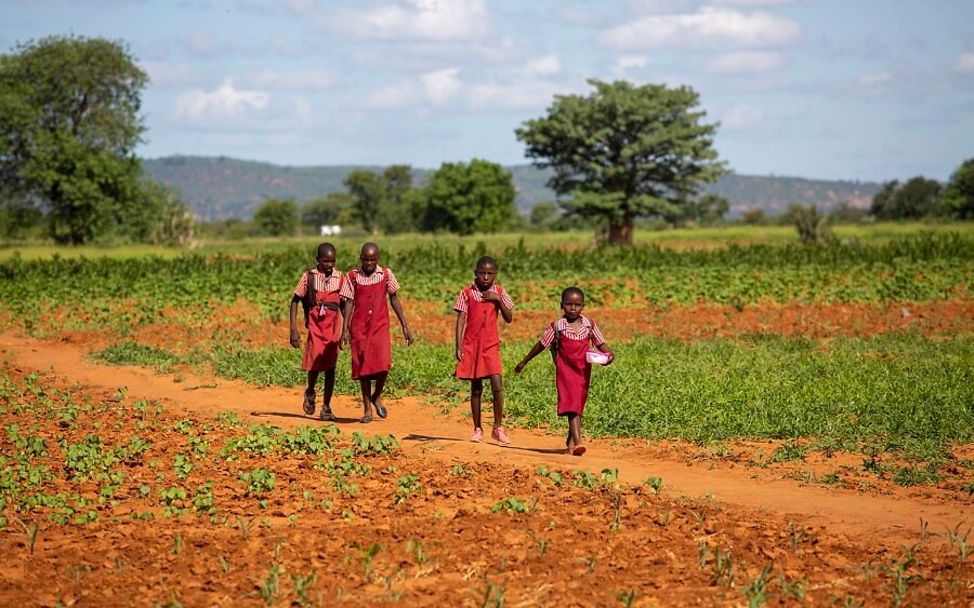 Kinder auf dem Weg zwischen Maisfeldern in Simbabwe. 
