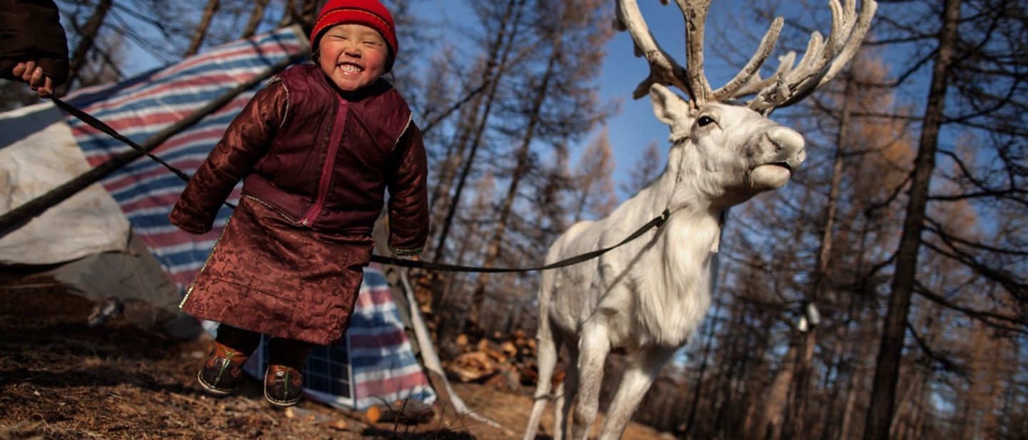 Spenden Weihnachten: Ein Mädchen und ein Rentier in der Mongolei
