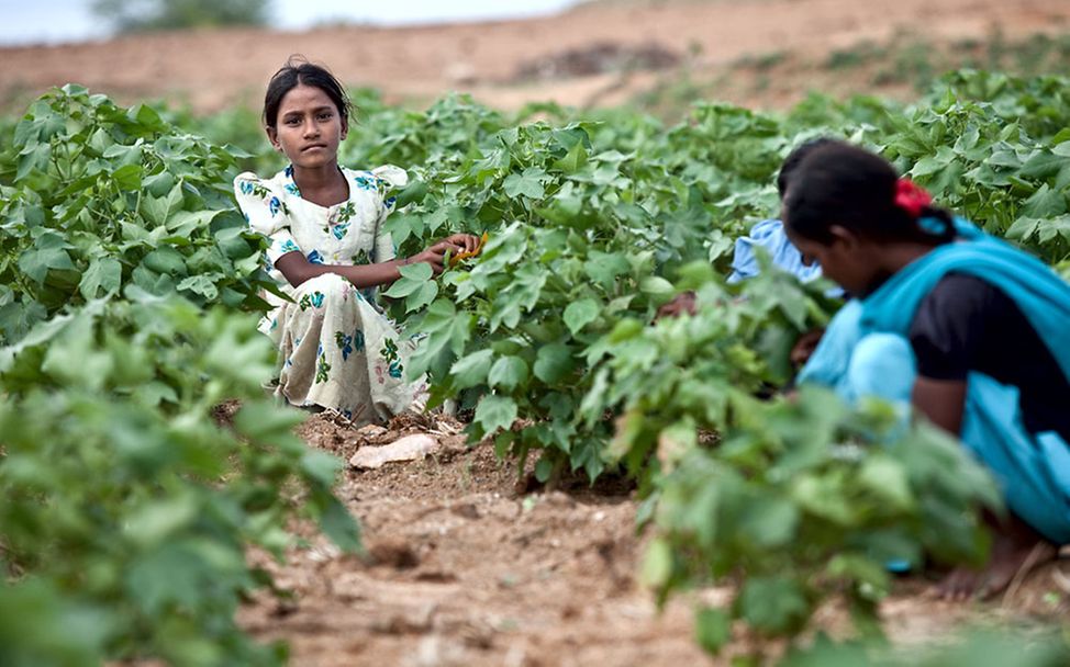 Kinderarbeit in Indien auf einer Plantage