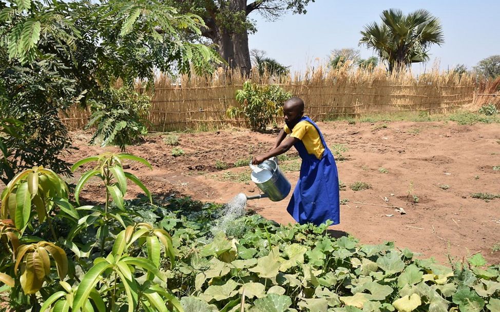 Ein Mädchen gießt das Gemüse in einer Grundschule in Malawi.