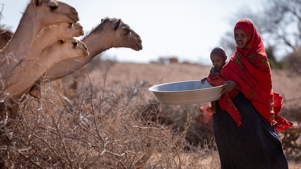 Äthiopien: Frau mit Kind auf dem Arm gibt Kamelen das letzte bisschen Futter.