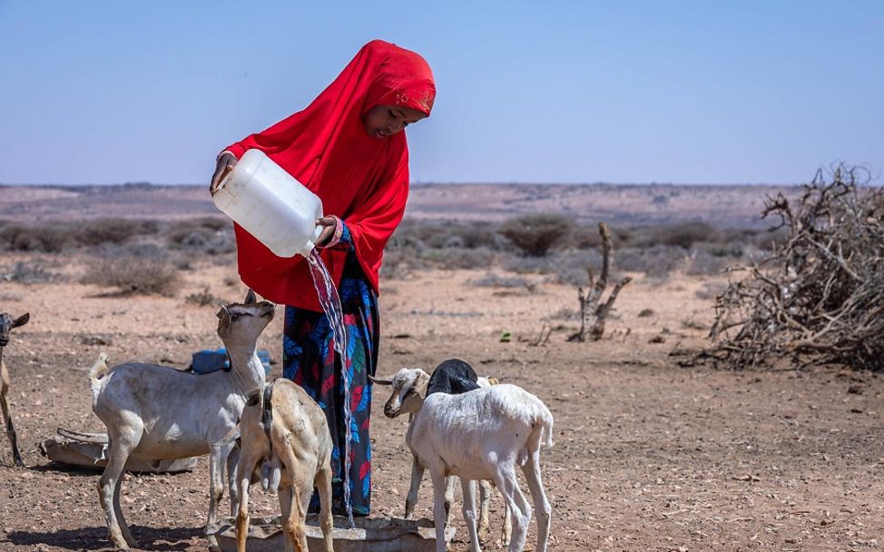 Sonalia: Mädchen gießt Wasser in einen Trog für ihre Ziegen.