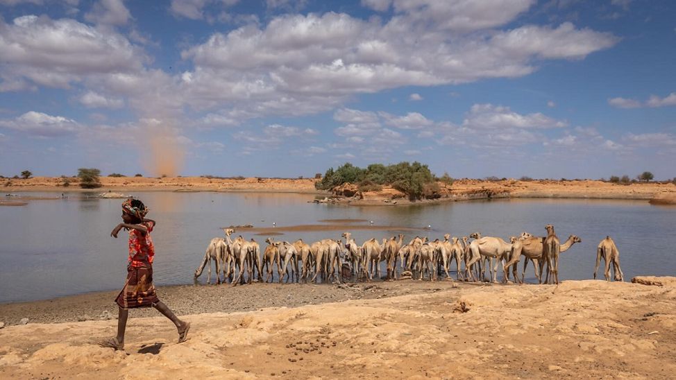Äthiopien: Junge begleitet seine Mutter und ihre Kamele zum Wasserholen an einem See.