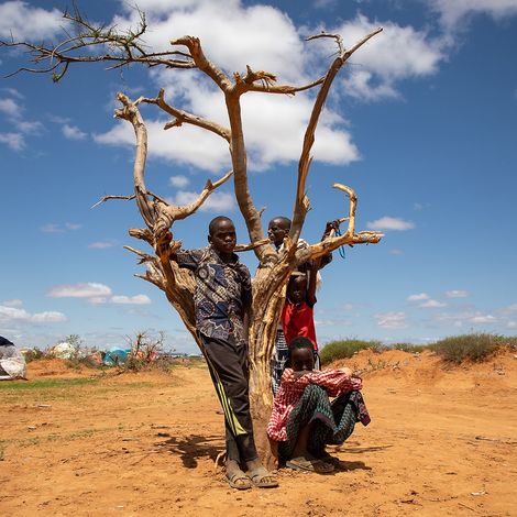 Äthiopien: Kinder stehen vor einem vertrockneten Baum.