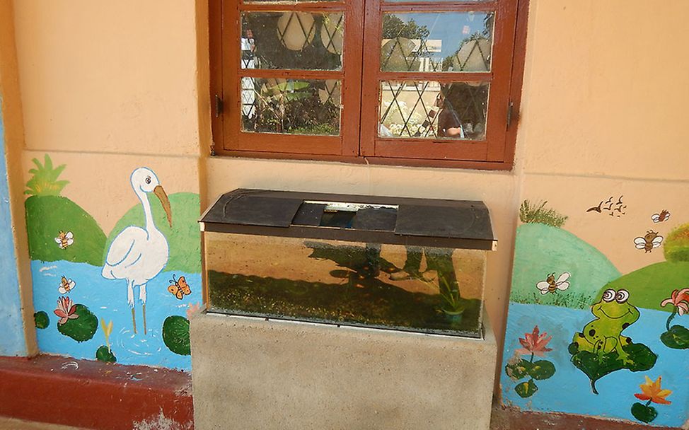 Sri Lanka: Aquarium vor dem Schulgebäude.