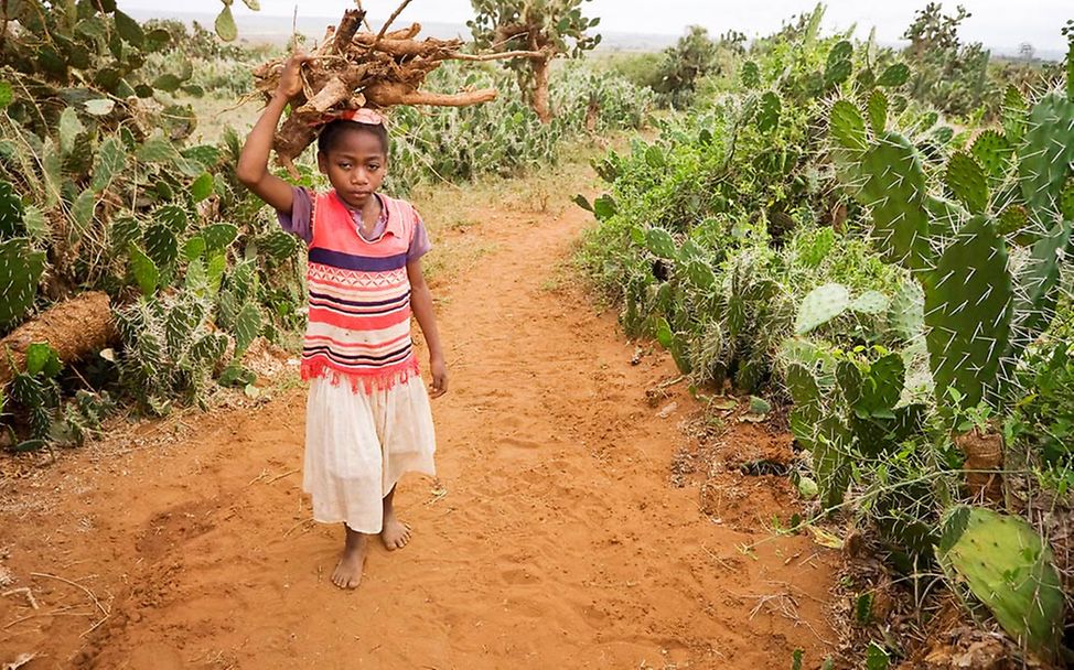 Madagaskar: Viele Kinder müssen arbeiten statt zur Schule zu gehen 